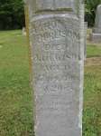 Aaron Burlison VI Civil War Veteran CO A 40 REGT Illinois VOL INF January 16, 1843- January 6, 1891