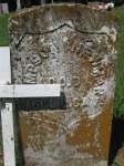 Simpson Newman Civil War Veteran CO D 15 Illinois CAV