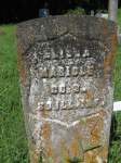 Elisha Maricle Civil War Veteran CO B 89 Illinois INF